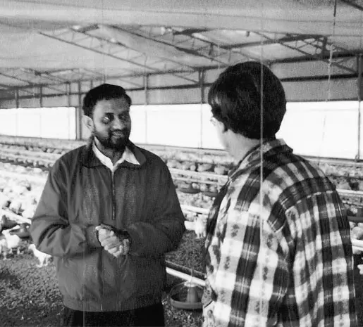 Crysbro founder speaking with a colleague inside a poultry house
